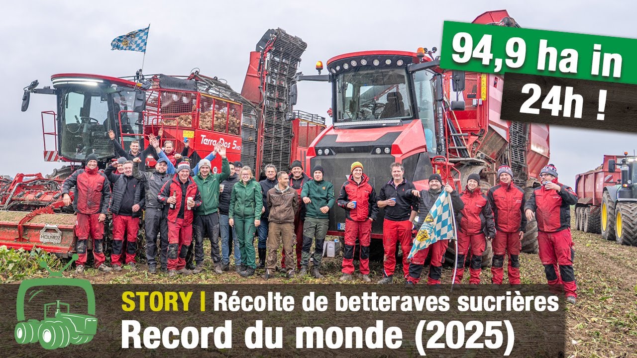 Holmer Terra Dos 5 à l’œuvre pendant 24 h | Record mondial d’arrachage de betteraves sucrières !