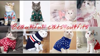 Cats beautiful Fashion outfits by Simple lady17 234 views 1 year ago 1 minute, 21 seconds