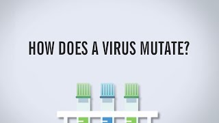How Does a Virus Mutate?