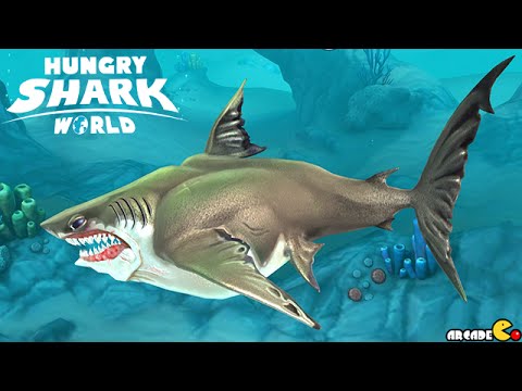 Great White Shark Unlocked Next Up Megalodon Shark Hungry Shark World Youtube Great White Shark Unlocked Next Up Megalodon Shark Hungry Shark World Youtube