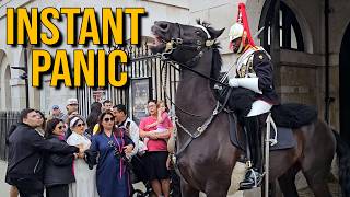 King’s Guard Charges His Horse at Rude Tourists