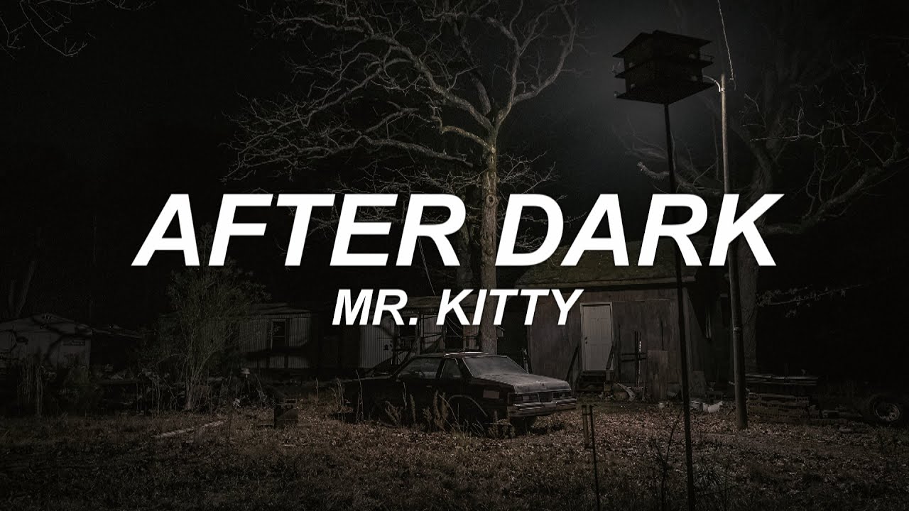 Mr.Kitty - After Dark (Lyric Cover) 