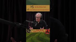 Why Do The Olmec Look So Much Different Than Other Native American Groups ?