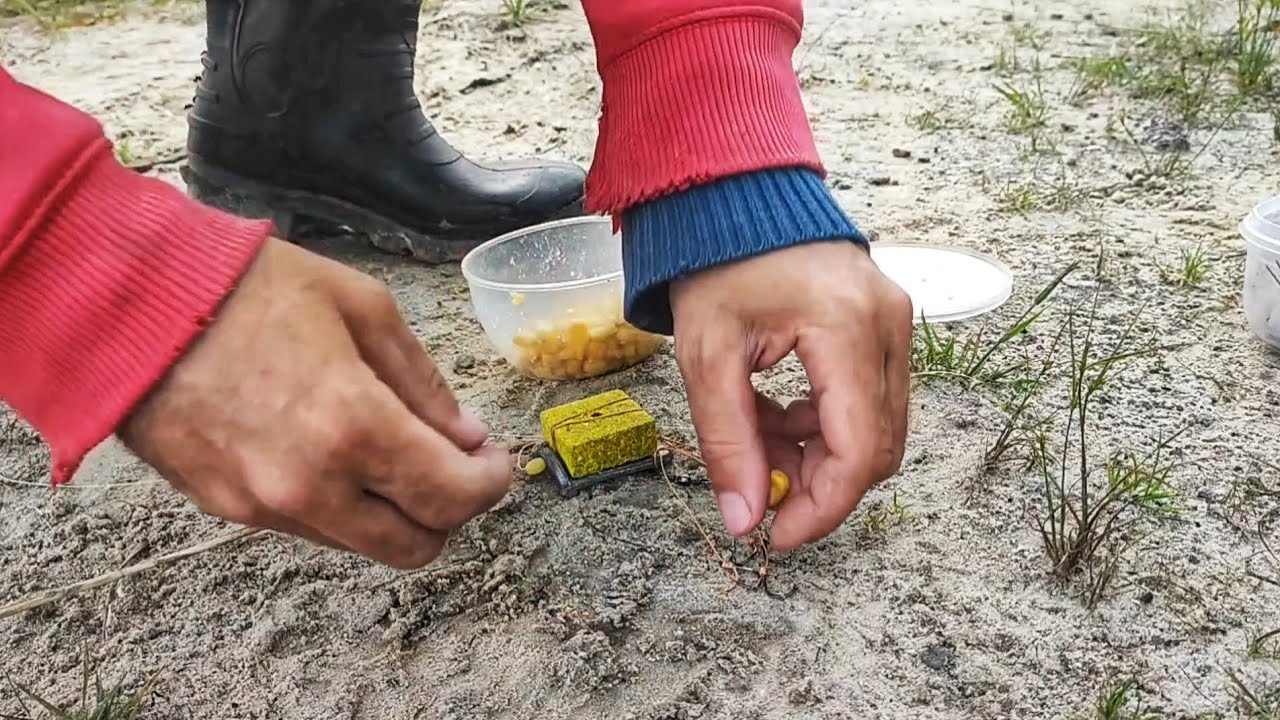 Рыбалка на мах и макушатник