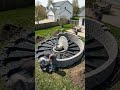 We Built a MAGICAL Peacock Pond! 🦚 (Day to Night Reveal)