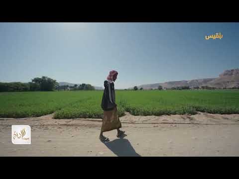 حيث الإنسان 7 | قصة كفاح في وادي حضرموت | برومو