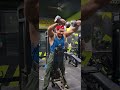 #trending #instamood #bodytransformation #gymshorts
