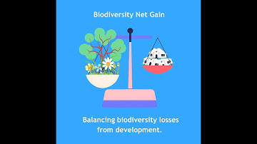 Biodiversity Net Gain (BNG): How ecologists & geospatial surveyors maximise land holding potential