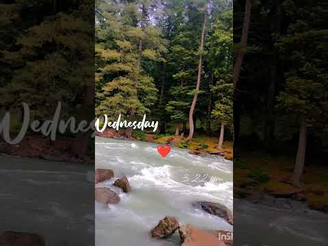Jhelum river🌊#pahalgam🏔️#kashmir🌲  #shortvideo