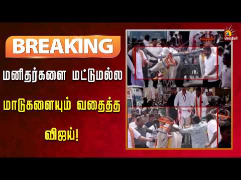 #BREAKING | அன்று விஜய் இழுத்த எம்எல்ஏ.. தற்போது மாடு இழுத்த அவலம்!