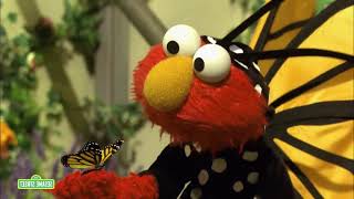 Sesame Street Elmos Erfly Effects Sponsored By Preview 2 Mokou Deepfake Effects