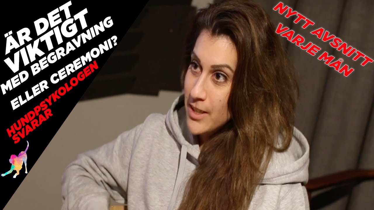 Sorgbearbetning till dig som har förlorat en hund (Säsong 9 Avsnitt 7)