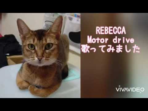#rebecca #motordrive レベッカのモータードライブ歌ってみました！自分に喝を入れるための自分への応援ソング