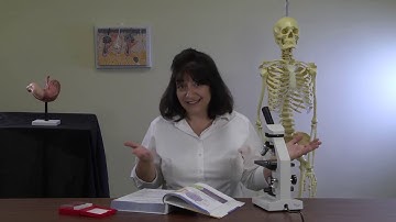 Apologia Advanced Biology Sample Module 2 Histology