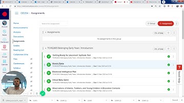 Feedback on Canvas assignments