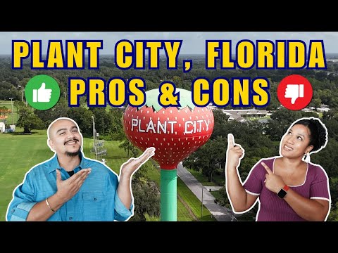 Plant City Florida Pros & Cons | Florida Pros & Cons | Viva Tampa