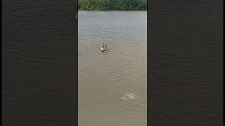 Descubra O Que So Ribeirinhosshorts ribeirinhos ferryboat cultura viagem explorando