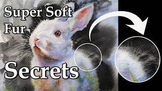 5 tips - How to Paint Wet in Wet Fur Edges - An Advanced Watercolor Technique White Bunny Demo