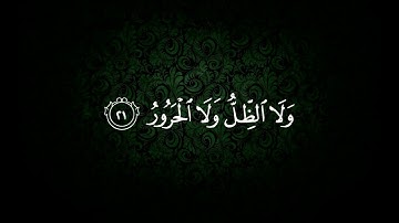 وما يستوي الأعمى والبصير ولا الظلمات ولا النور......تلاوة خاشعة للشيخ د. ياسر الدوسري - Quran