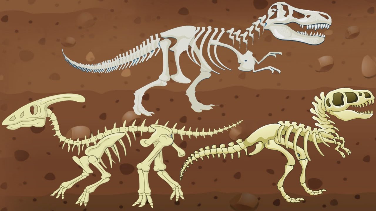 Игра кости динозавров. Кости динозавров. Кости динозавров для детей. Палеонтология динозавры. Оживший скелет динозавра.