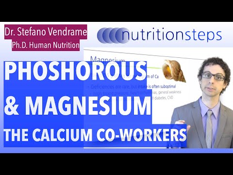 Phosphorous Magnesium the Calcium co-workers