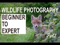 Wildlife Photography - The tips and skills to take you from Beginner to Expert