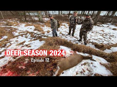 DEER ALMOST RAN ME OVER!!!! - Crazy Deer Drives with Bows!! - Maryland Archery Deer Hunting 2025