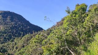 Download Lagu menikmati segarnya udara di puncak gunung Ranaka (Ruteng, Manggarai) MP3