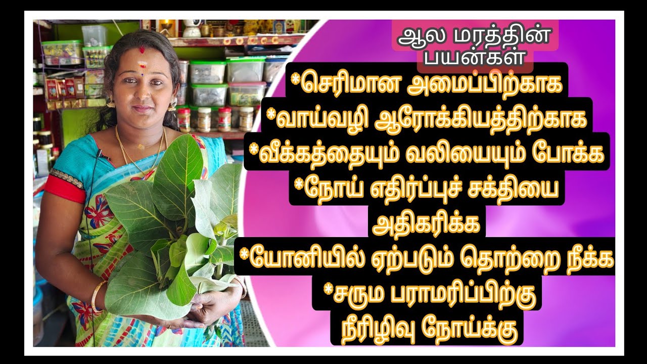 Banyan Tree Uses In Tamil mooligai maruthuvam banyan-tree-uses-in-tamil-mooligai-maruthuvam