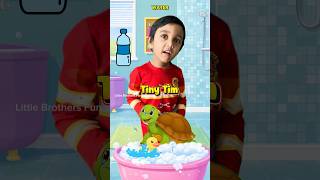 Ms Rachel 🐢 toddler learning | Little Turtle Tiny Tim Song #msrachel #toddlerlearning #kidssong