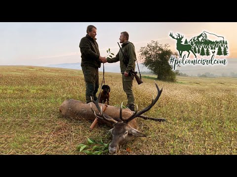Video: Ako Vymeniť Poľovnícky Lístok