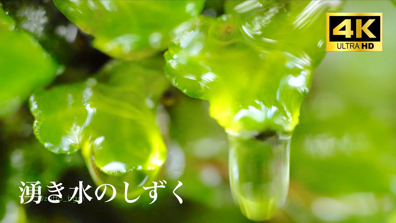 【湧き水の音 4K 3h】癒される自然の音 nature sounds / ASMR