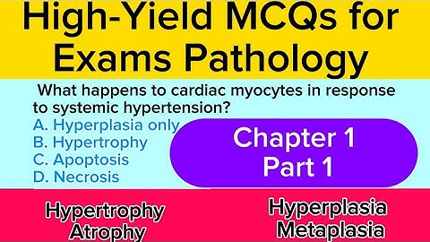 Top 20 High-Yield Pathology MCQs (Part 1) | MBBS #pathology #mcqmedacademy #pathology #medicalmcqs 