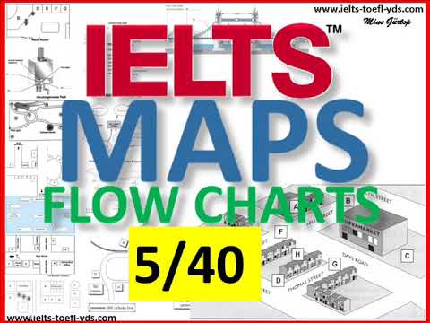 Video: Diagram ženskih Reproduktivnih živcev In žil - Body Maps