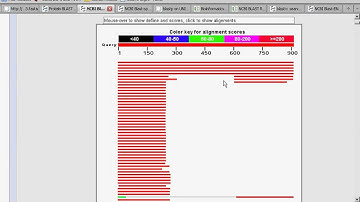 Ejecutar y analizar los resultados de un Blast (Parte 1 de 2)