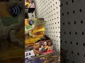 Mattel Jurassic World 2021 Camp Cretaceous Toy Hunt Success!! - Found Grim And New Attack Packs!!