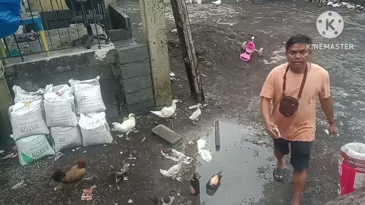 Dami Ng nagkalat na scammer sa bicol..nag papa gcash walang pera🤣🤣🤣