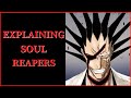 Soul Reapers Explained (Bleach)