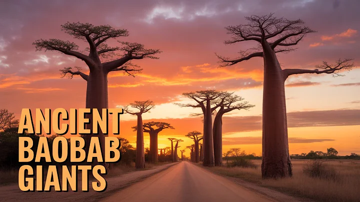 Discover the Wild Secrets of Madagascar!