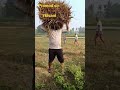 aaj kisani kiya#kisan #kisani