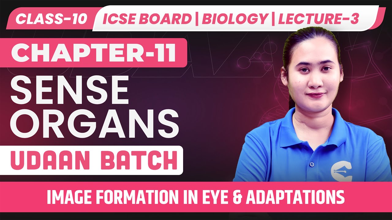 ICSE Class 10 Biology | Sense Organs – Image Formation in Eye & Adaptations | Lecture-3 | UDAAN​