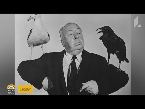 #ახალიდღე შიშების მბრძანებელი - ალფრედ ჰიჩკოკი #კულტინფო