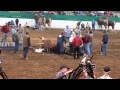 Draft horse pull 2015 Raleigh nc, fall