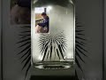 #Duett on tiktok with  Amir weiss