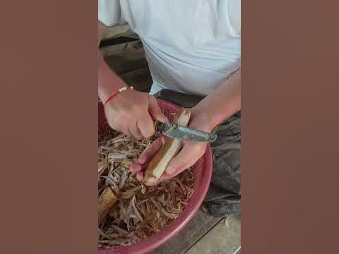 корень вечной молодости - YouTube