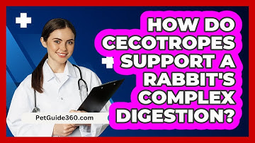 How Do Cecotropes Support A Rabbit