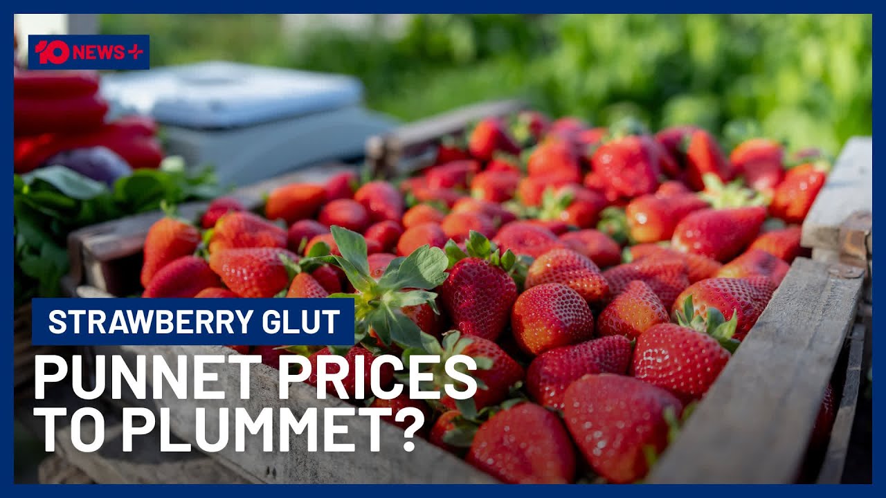 Australia’s Strawberry Supply Surges, Could Punnet Prices Plummet? | 10 News+