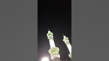 {أمن يجيب المضطر ..} تلاوة عذبة || بندر بليلة