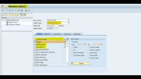 Organisational Management Infotypes #Infotype #saphcm #sap #saphr #payroll #hr #employees