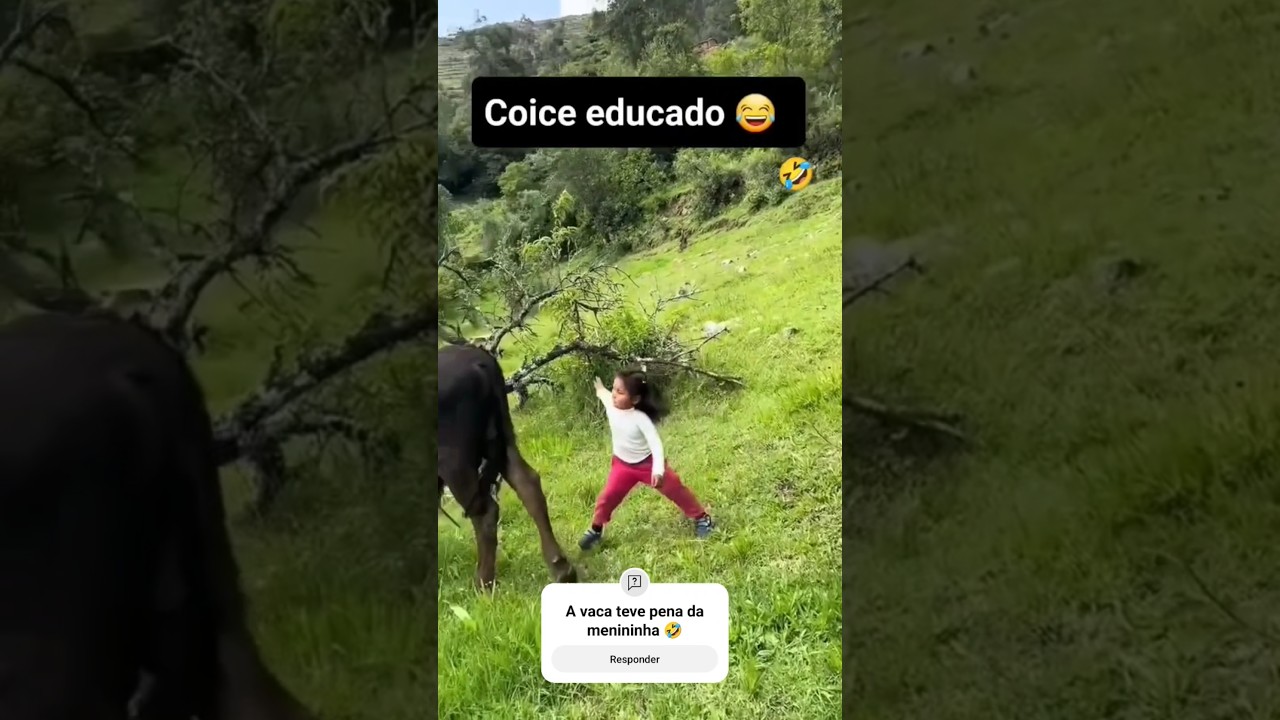 A vaca teve pena da menininha 🤣 